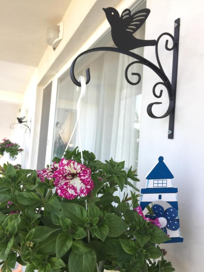 Villa Steffi Golden Sands Exteriör bild